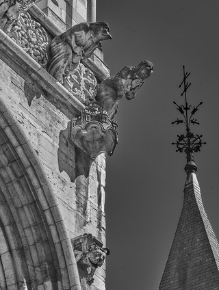 Dijon   |   13  /  22    |